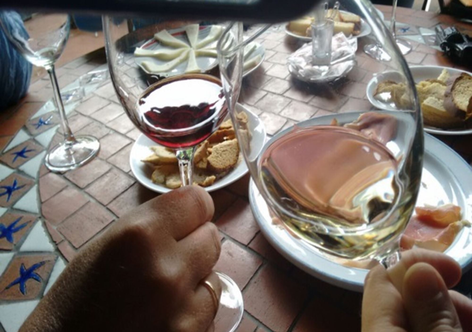 visitas de los Aromas del Norte y Vinos de Gran Canaria